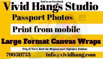 Vivid Hangs Studio
