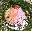Willow Birth Services