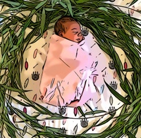 Willow Birth Services