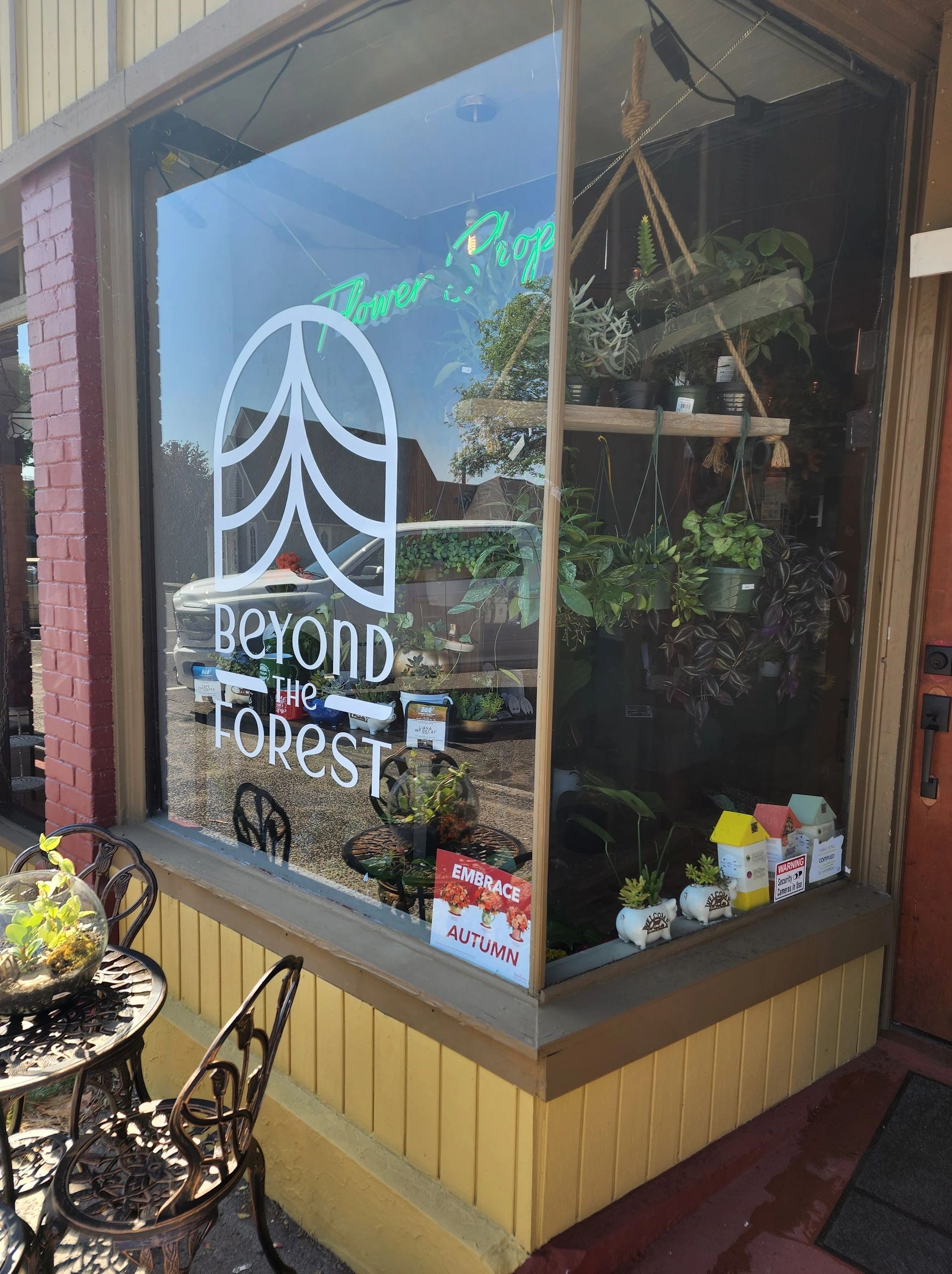 Beyond the Forest Coffee Shop, Espresso Near Me