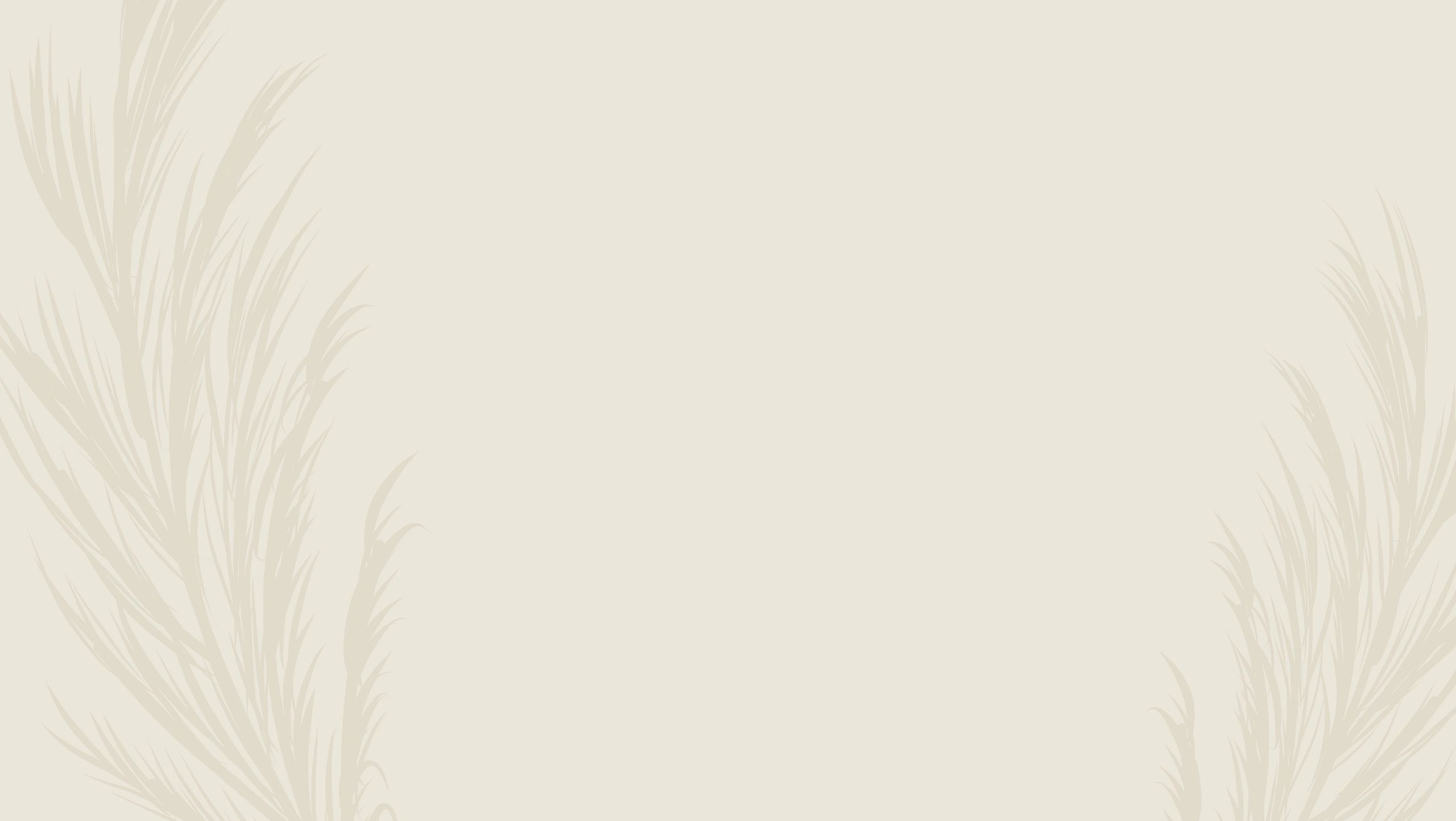 The Nail Company Glasgow