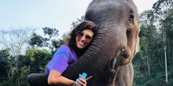 Elephant sanctuary in Thailand.