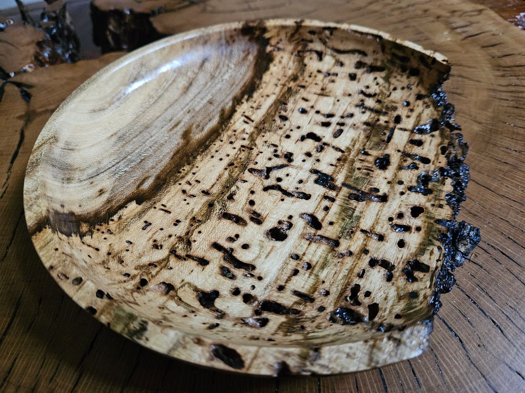 Hackberry Wood from West Texas