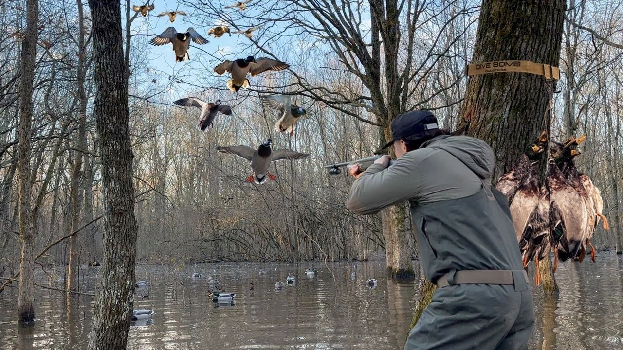 Pro-Level Hunting Tactics Using Dive Bomb Spreads
