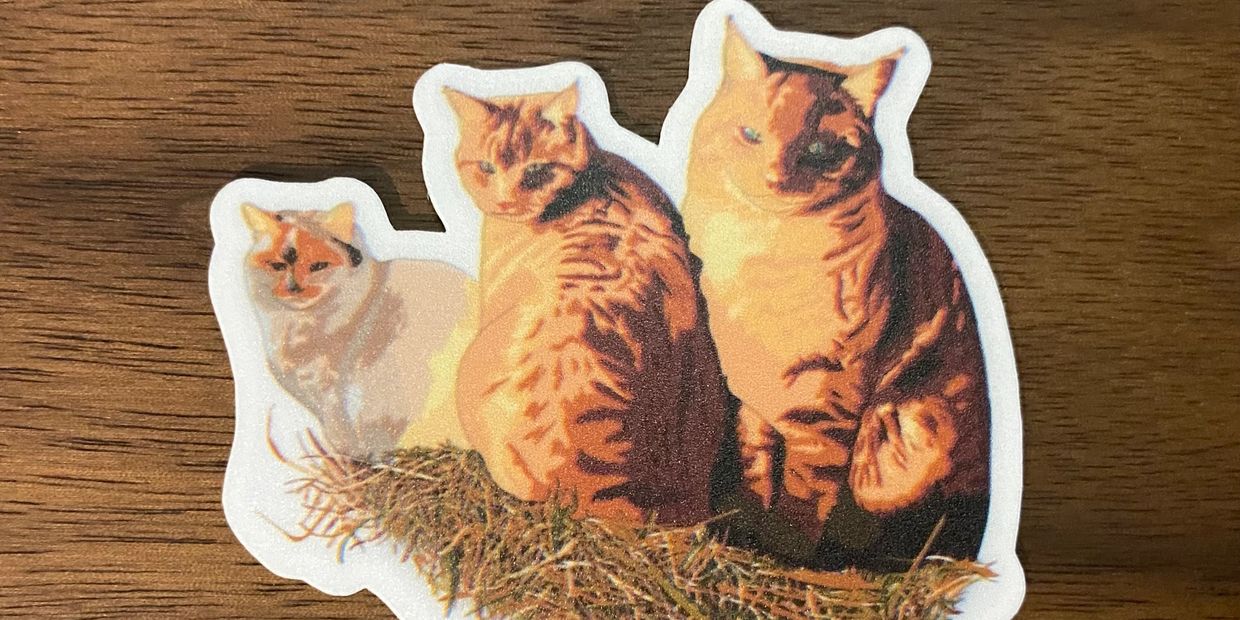 3 orange cats