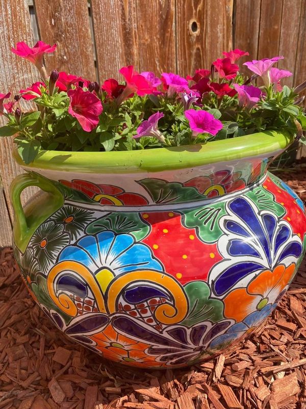 Flowers in a Talavera pot 