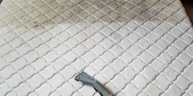 HOUSE CLEANING RESIDENTIAL CLEANING OFFICE CLEANING MATTRESS CLEANING PEE STAIN REMOVAL