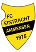 FC Eintracht Ammensen