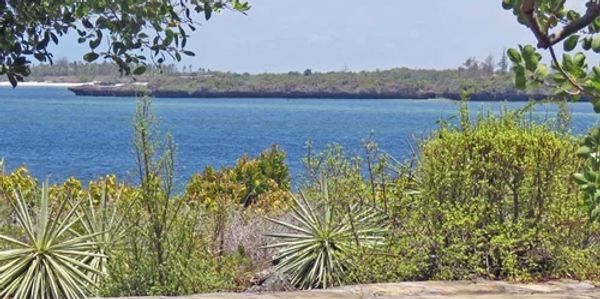 Scenic view of a blue lake surrounded by lush greenery and bushes.