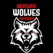 Westlock Fun Hockey