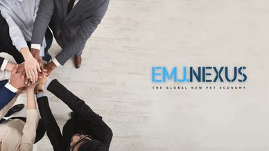 CSR與ESG戰略規劃