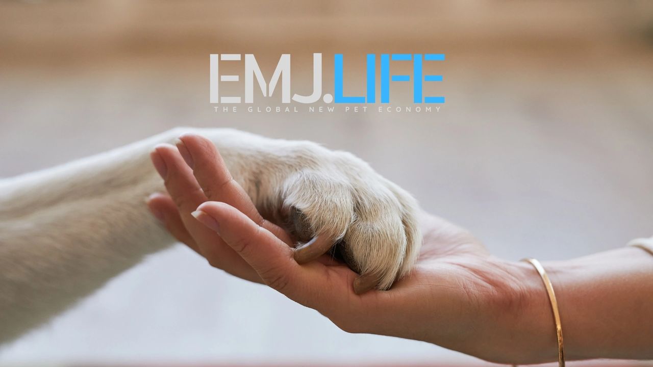 ［工商時報］：EMJ.LIFE定義未來的寵物數位互動新時代