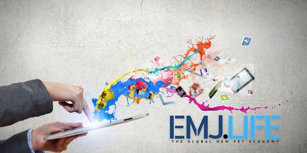 ENJOY ETERNAL METAVERSE JOURNEY