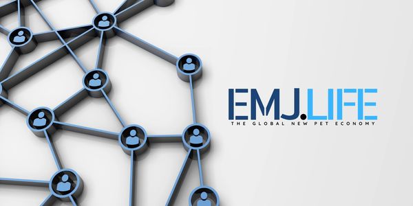 ENJOY ETERNAL METAVERSE JOURNEY