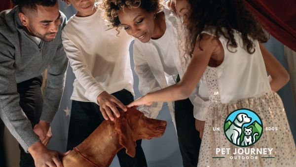 PET JOOURNEY CITY FAIR 城市寵物園遊會