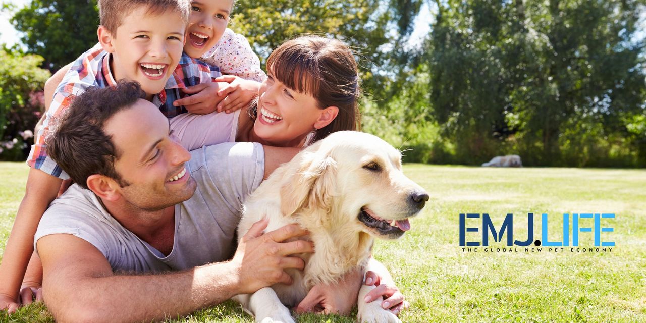 EMJ.NEXUS全球寵物新經濟專題報導：Chapter 5：毛孩的健康保障