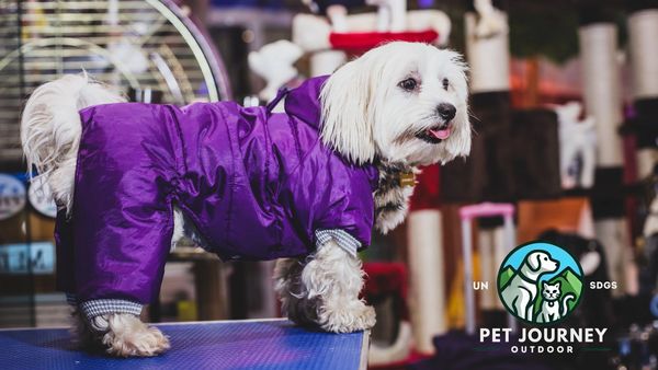 411 PET JOURNEY FESTIVAL國際寵物嘉年華