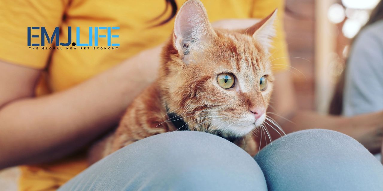 EMJ.NEXUS全球寵物新經濟主題報導：Chapter 1：毛孩健康藍圖
