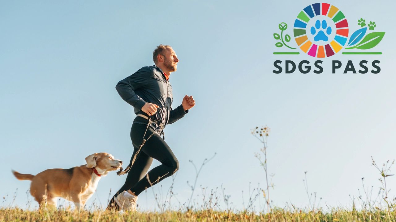 EMJ.NEXUS全球寵物新經濟專題報導：Chapter 7：用環境寵愛毛孩