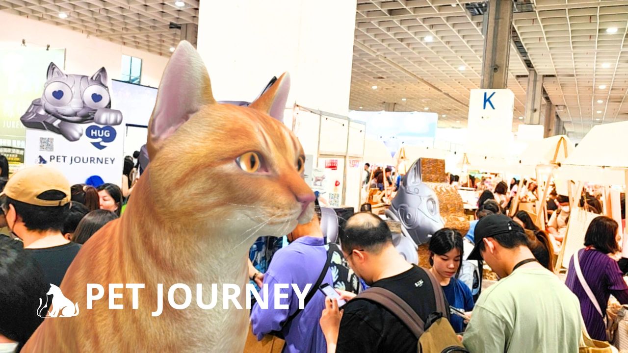 限量10萬組　EMJ.LIFE推出貓博聯名元宇宙貓咪孵化器