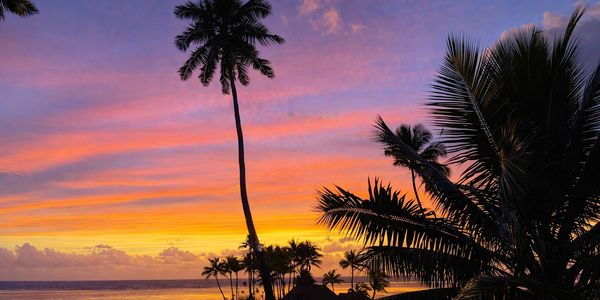 Vibrant tropical sunset with silhouetted palm trees over calm ocean.