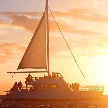 large sailing with people looking at sunset
