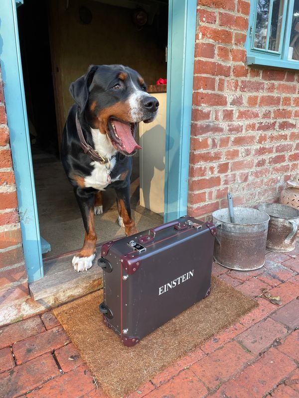 Our Mascot is Einstein Beelzebub Bandit Baloo Baskerville Steffensen, loyal but vicious when needed.