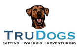 Dog sitting, training, and walking