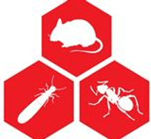 Jones Termite & Pest Control
