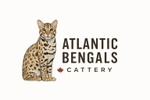 Atlantic Bengals