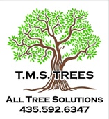 T.M.S. Trees