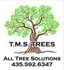 T.M.S. Trees