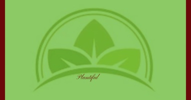 plantifulgroup.com