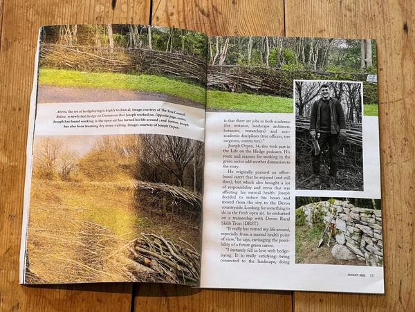 an article about hedgelaying in the countryman magazine south devon