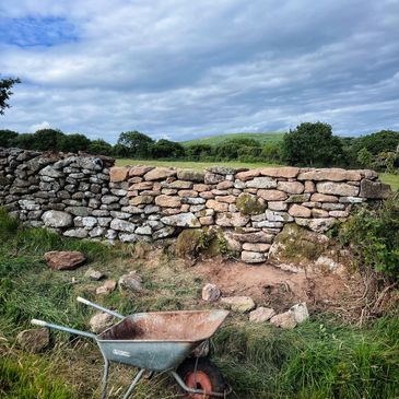 devon hedgelayer devon hedge south hams hedgelaying devon bank professional hedge laying bn5