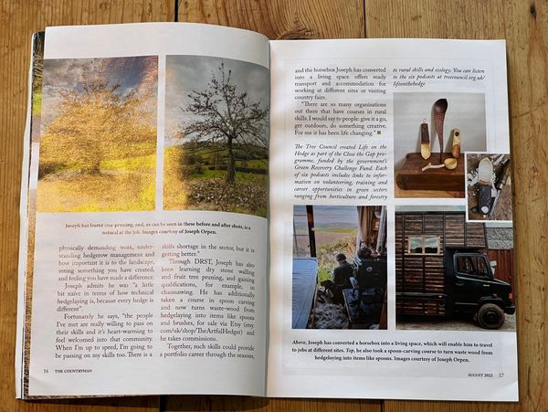 an article about hedgelaying in the countryman magazine south hams devon
