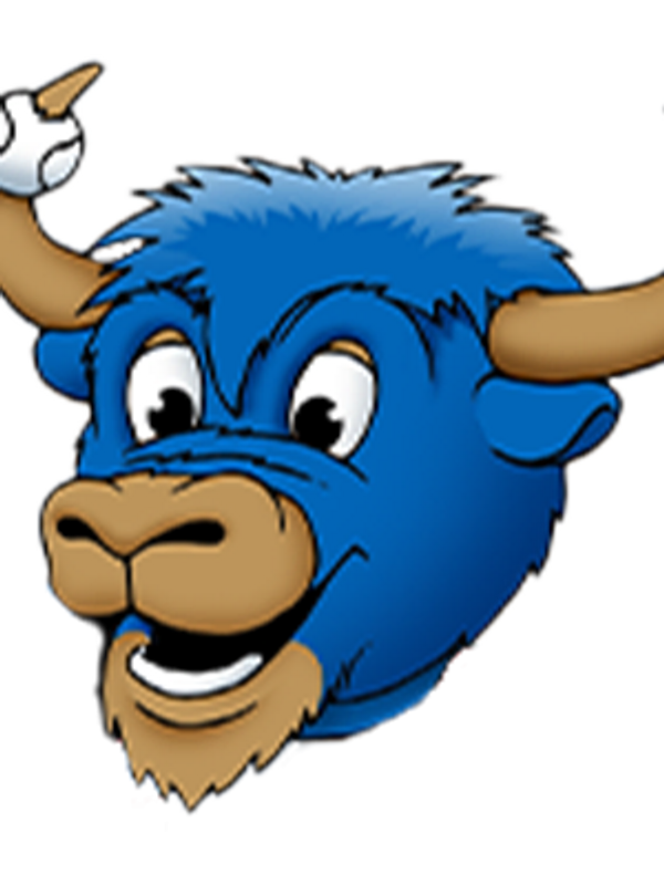 Salem Ridge Yaks Christmas in July event