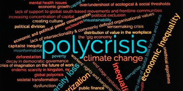 Word cloud highlighting polycrisis, climate change, and economic inequality as major global issues.