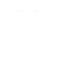 BRAZILIAN BBQ BOYS