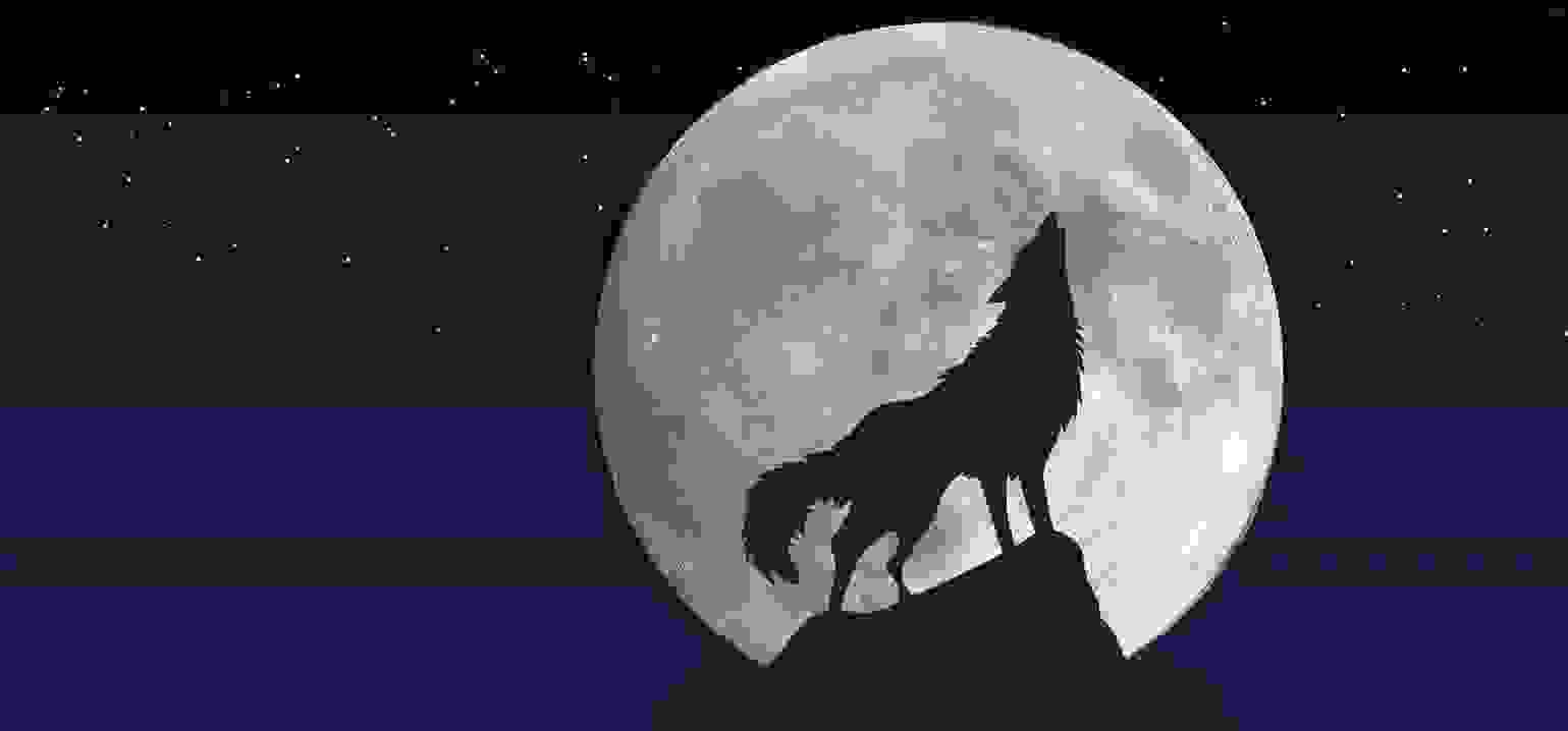 Wolf standing on a rock in front of a full moon howling