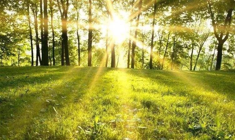 Awakening Acupuncture