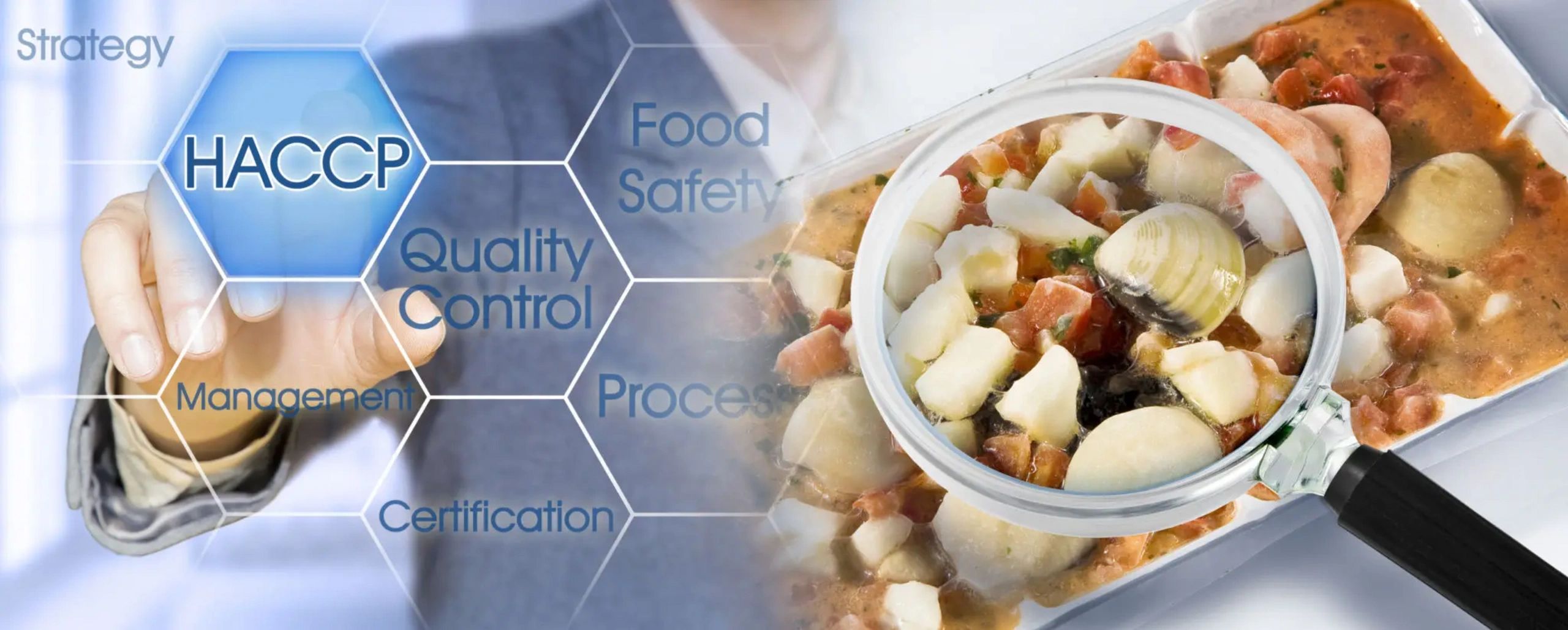 GFSI consulting group