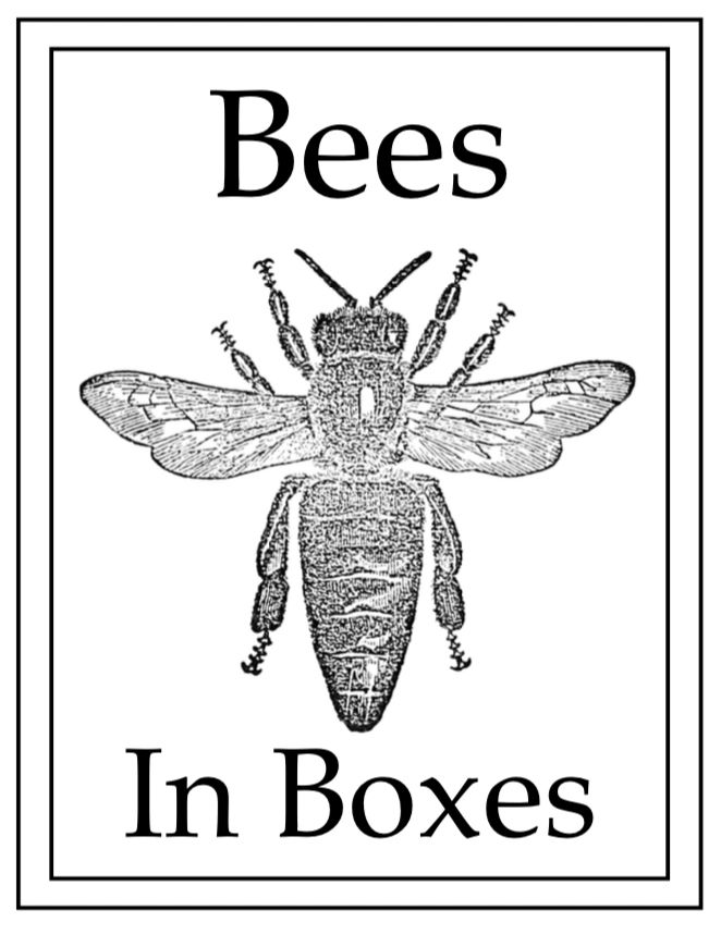 Bees For Sale Bees In Boxes bees-for-sale-bees-in-boxes