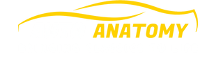 Auto Anatomy