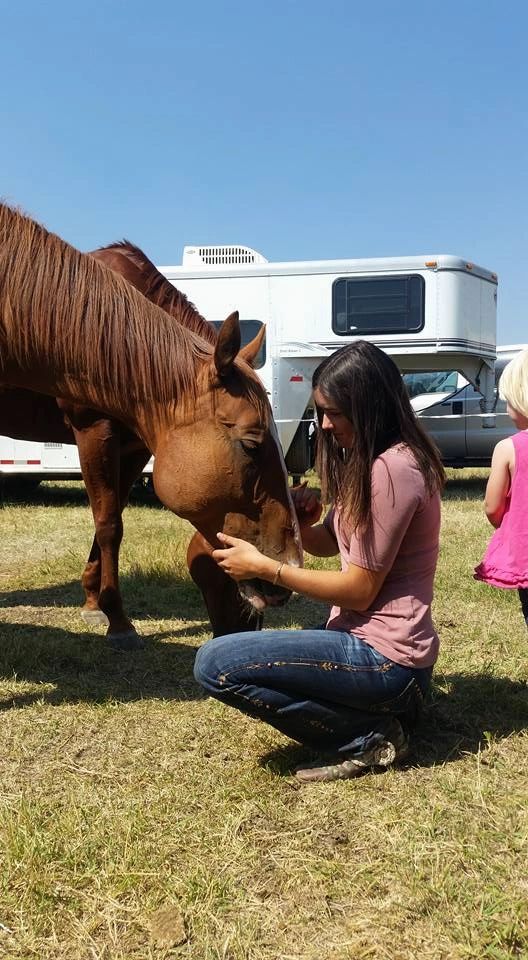 Horse Mortality And Major Medical Insurance Full