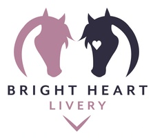 Bright Heart Livery