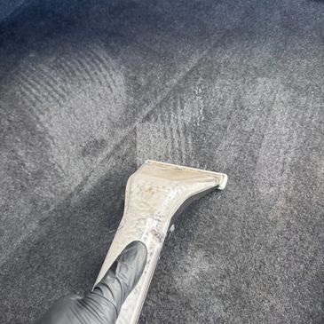 Gloved hand cleaning a carpet with a steam cleaner.