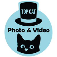 Top Cat Photo & Video