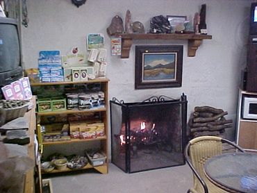 Cozy room with a burning fireplace and rustic decor.