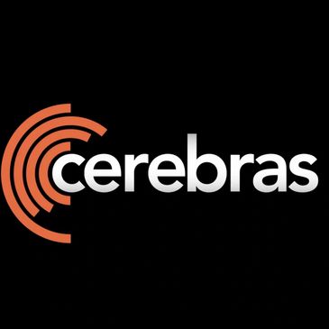 Cerebras Systems Wikus Ventures venture capital firm vc investing